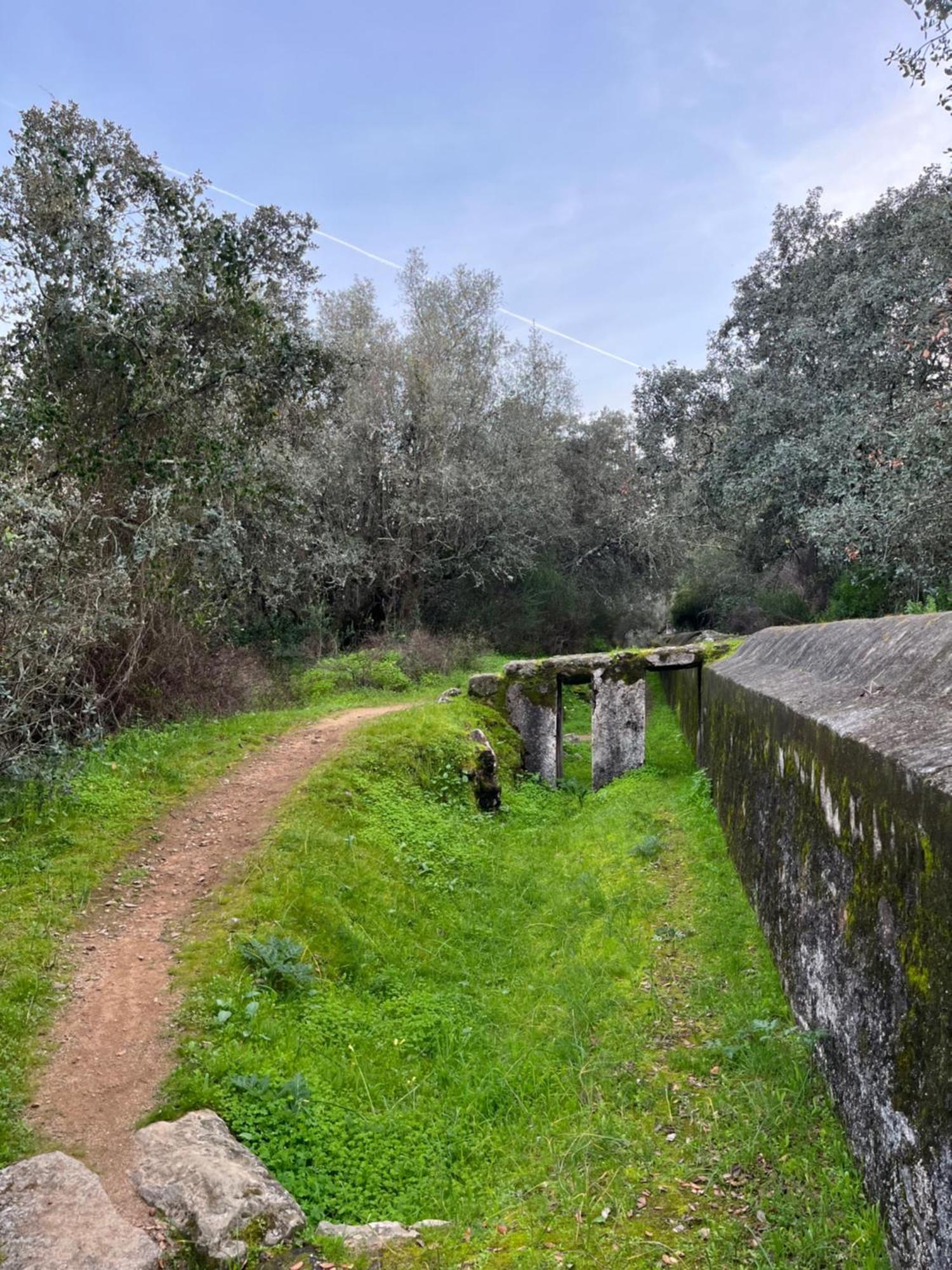 Quinta Do Faisco Villa Evora Luaran gambar