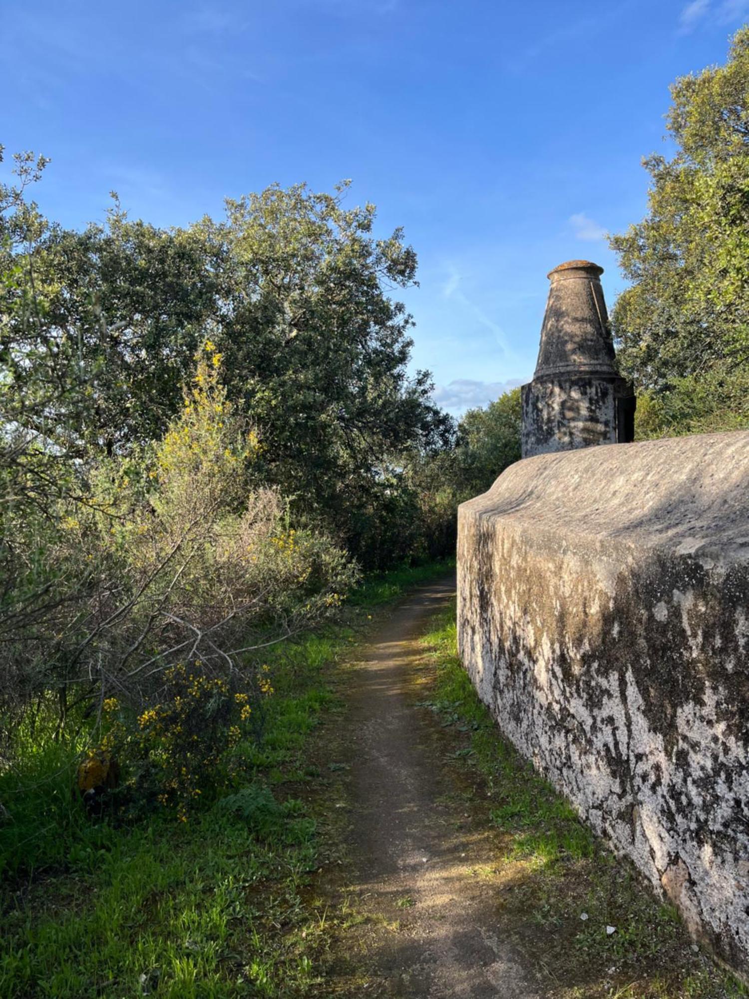 Quinta Do Faisco Villa Evora Luaran gambar